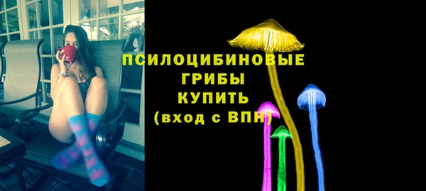 гидра Алексин