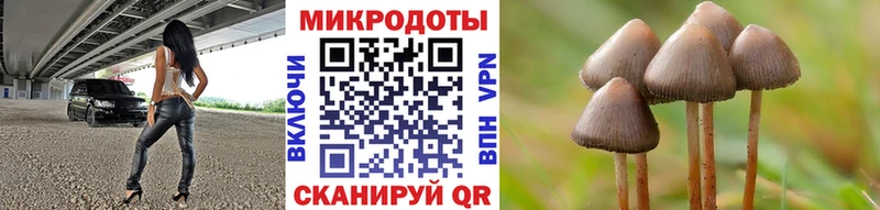 Псилоцибиновые грибы Magic Shrooms  Каменногорск 